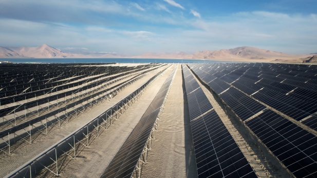 1762164936449491.jpg 拉果.jpg